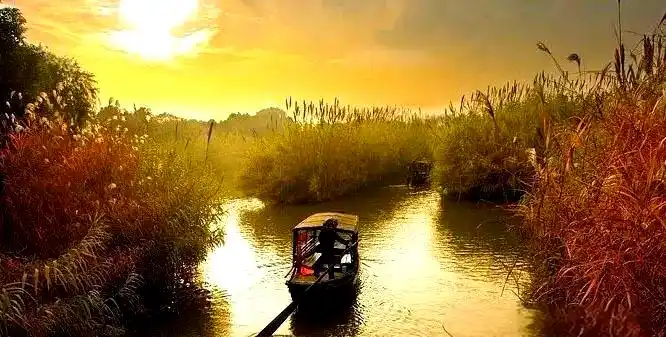 上海东滩湿地公园_西沙湿地公园_上海湿地公园哪个好玩