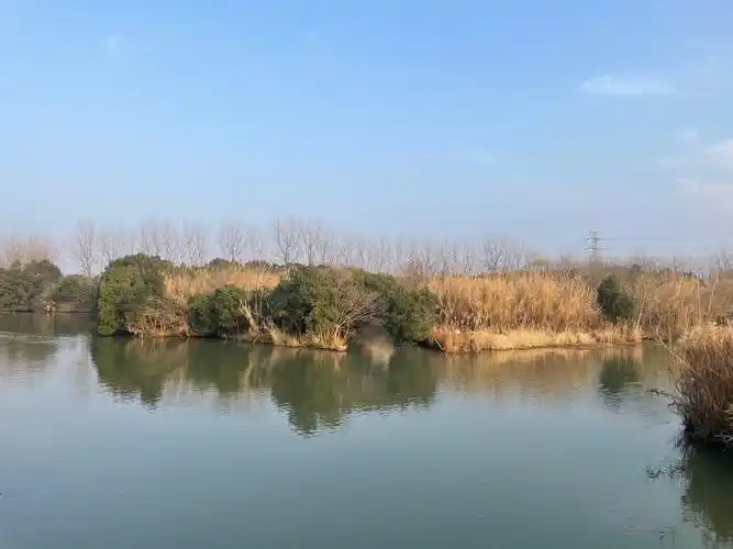 西沙湿地公园_上海东滩湿地公园_上海湿地公园哪个好玩