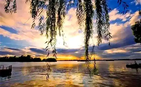 上海东滩湿地公园_上海湿地公园哪个好玩_西沙湿地公园