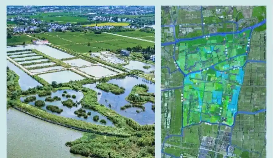 上海湿地公园哪个好玩_上海湿地公园_上海湿地旅游攻略