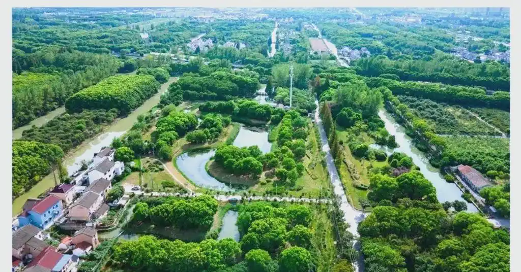 上海湿地旅游攻略_上海湿地公园哪个好玩_上海湿地公园