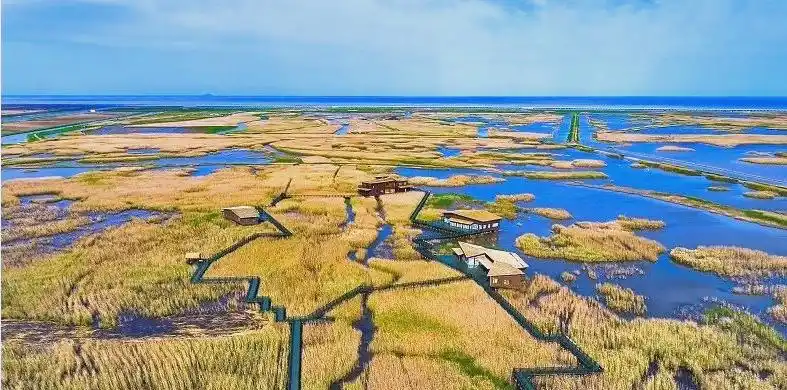 上海湿地公园哪个好玩_上海湿地公园_上海湿地旅游攻略