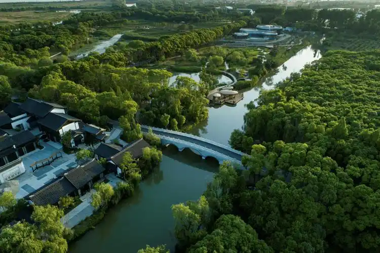 上海湿地公园哪个好玩_上海湿地旅游攻略_上海湿地公园