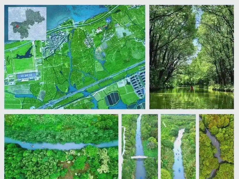 上海湿地公园_上海湿地公园哪个好玩_上海湿地旅游攻略