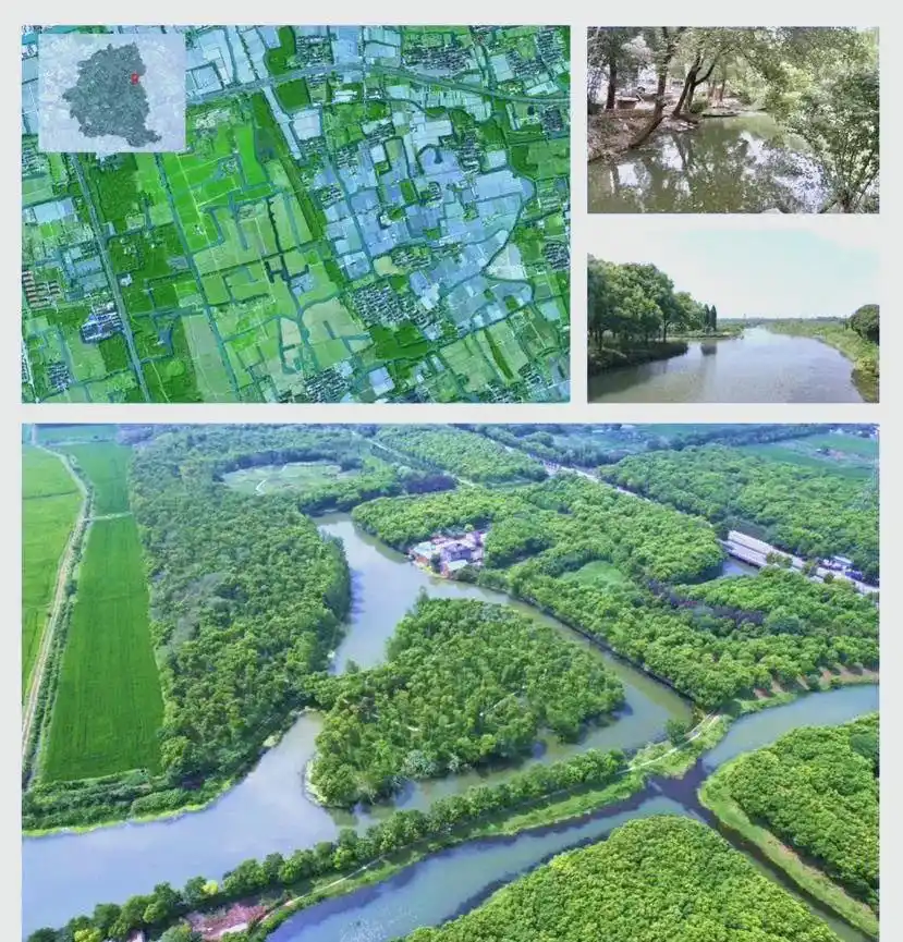 上海湿地公园_上海湿地旅游攻略_上海湿地公园哪个好玩