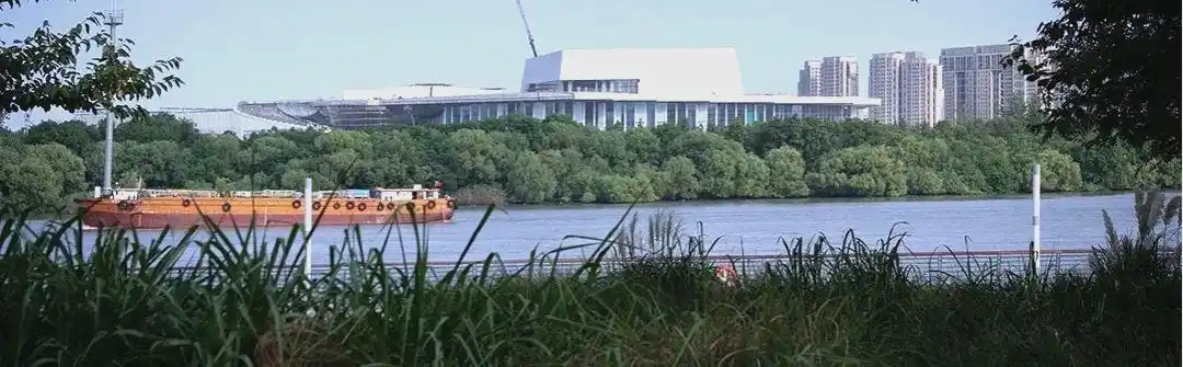 上海湿地公园_上海湿地旅游攻略_上海湿地公园哪个好玩