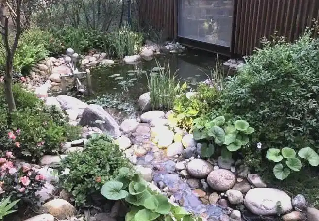 上海湿地公园哪个好玩_上海湿地公园_上海湿地旅游攻略