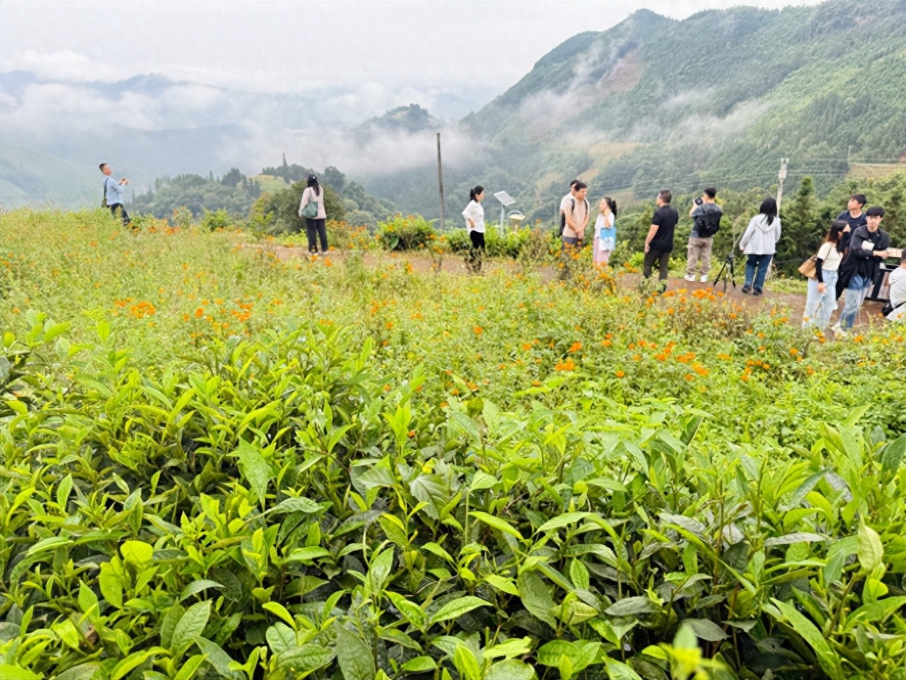 广西生态文明建设促进条例_广西生态农业建设_广西环保世纪行活动