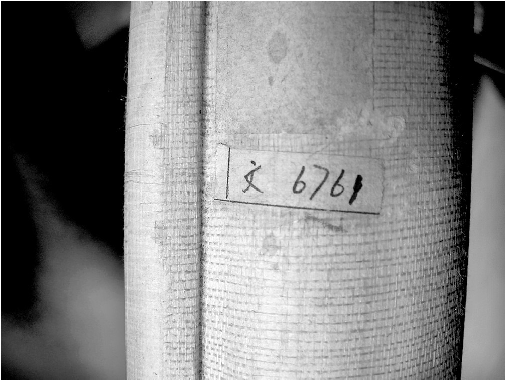 傅雷与黄宾虹的忘年交_京东黄宾虹书法集_傅雷为黄宾虹处理画作收藏