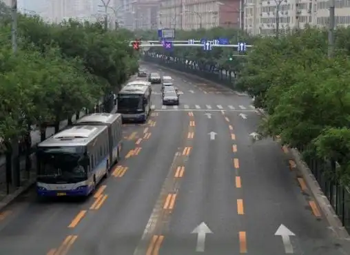 导流线标志_不认识这5种道路标线迟早要被扣完_三角形标志避让行人被扣3分罚款100元