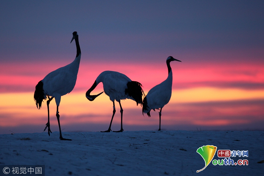 美丽中国目标_生态文明建设_美丽中国 生态文明