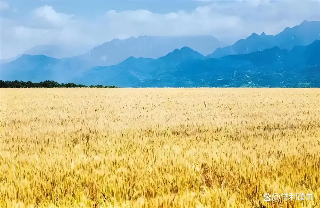 端午节传统习俗_粽子的文化内涵_国人的粽子文化