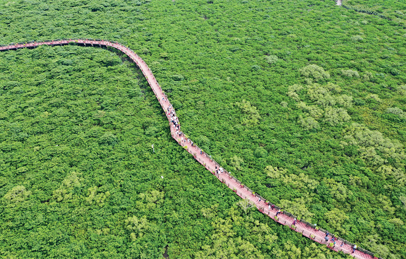 美丽中国 生态文明_建设美丽中国_深化生态文明体制改革