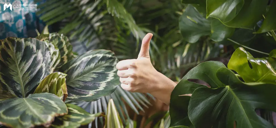 自然生态系统规律_互联网的生态系统_互联网生态平衡