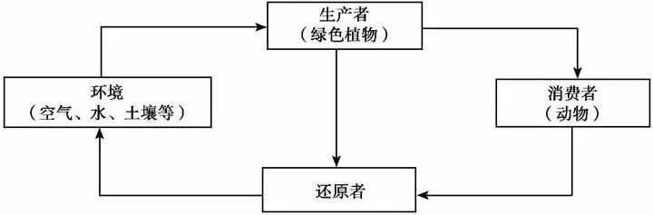 自然生态系统规律_互联网生态平衡_互联网的生态系统