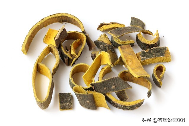 黄柏 湿热热毒 疮疡肿毒_孕期可以用黄柏洗悦吗