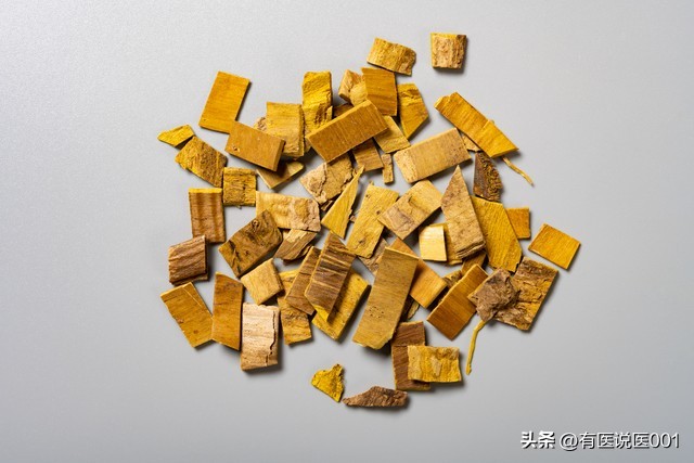 黄柏 湿热热毒 疮疡肿毒_孕期可以用黄柏洗悦吗