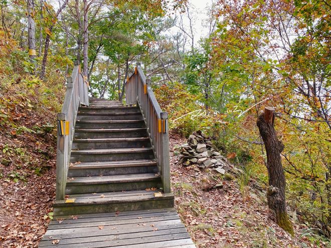 延吉旅行社排名 蒙旅国际旅行社 延吉正规旅行社_吉林省文化国际旅行社