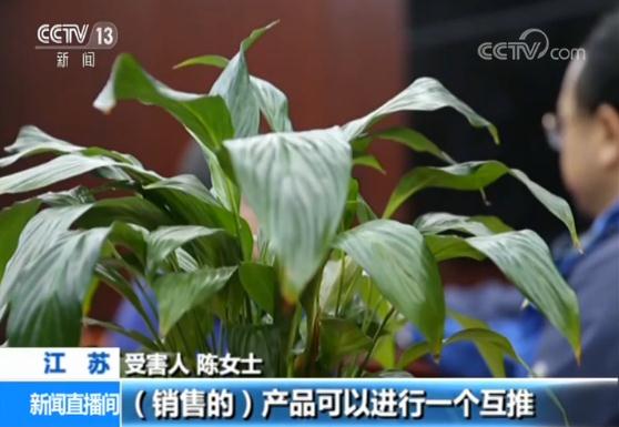 朋友圈微商诈骗_微商儿童服装代理_网络购物诈骗案例