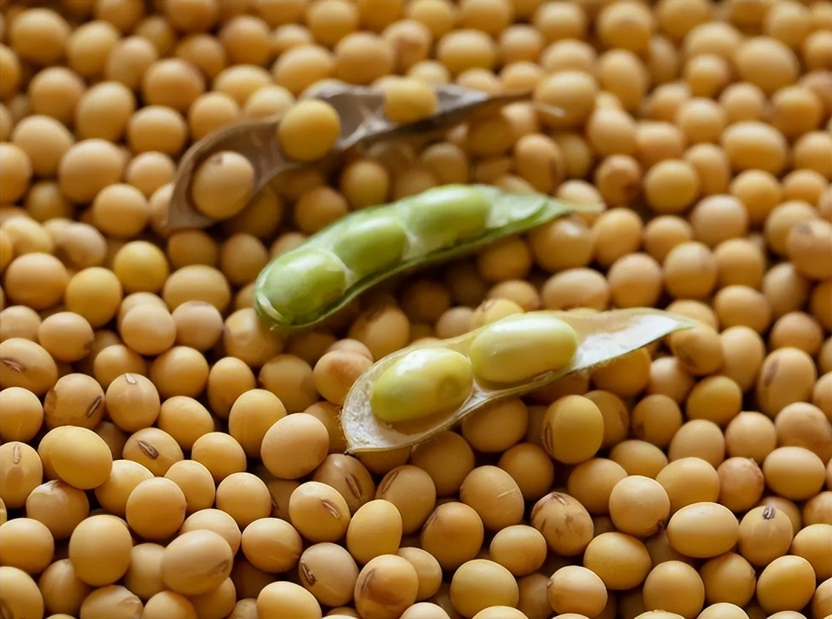 补钙食物选择_有哪些是含钙的食物_牛奶补钙误区