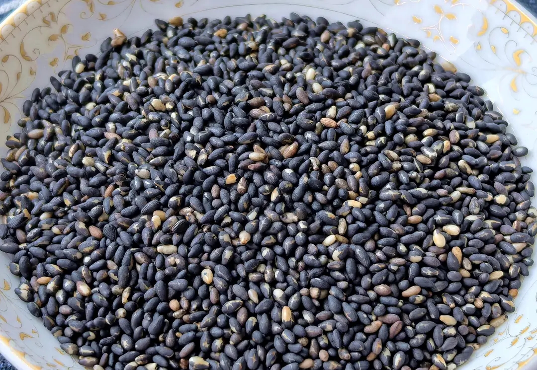 有哪些是含钙的食物_黑芝麻补钙_护骨食物