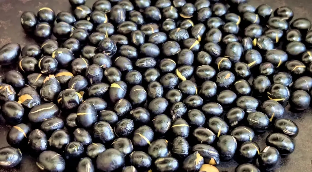 有哪些是含钙的食物_黑芝麻补钙_护骨食物