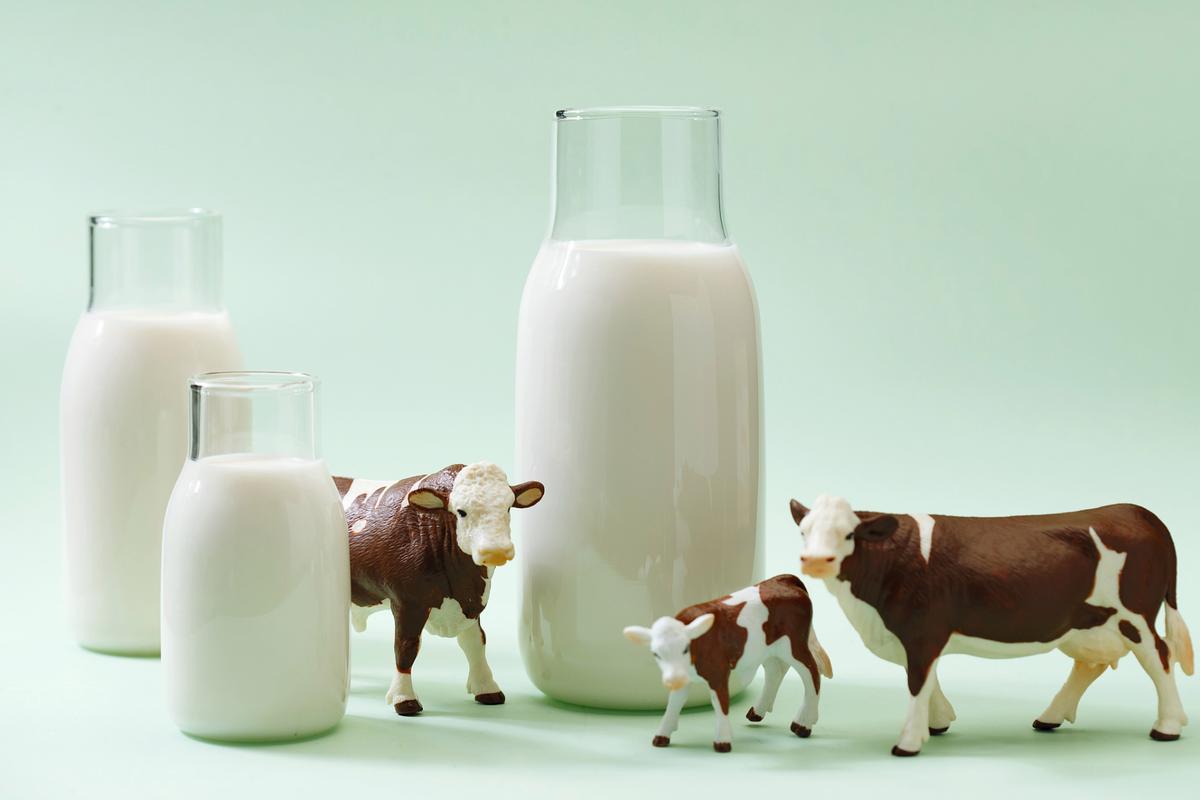 补钙误区与正确方法_有哪些是含钙的食物_骨密度偏低如何补钙