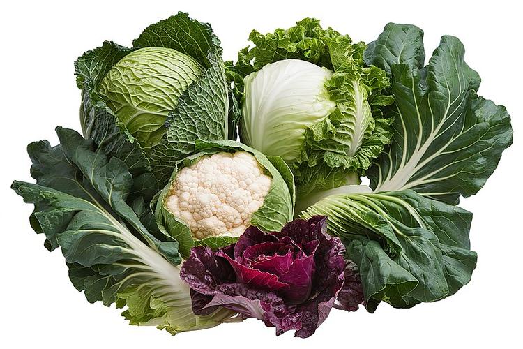 补钙误区与正确方法_骨密度偏低如何补钙_有哪些是含钙的食物