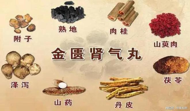 水肿肺脾肾功能_全身调整象数配方_肥胖脾肺肾阳虚