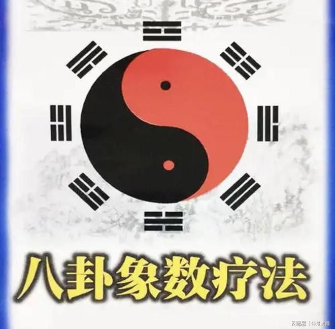 肥胖脾肺肾阳虚_水肿肺脾肾功能_全身调整象数配方