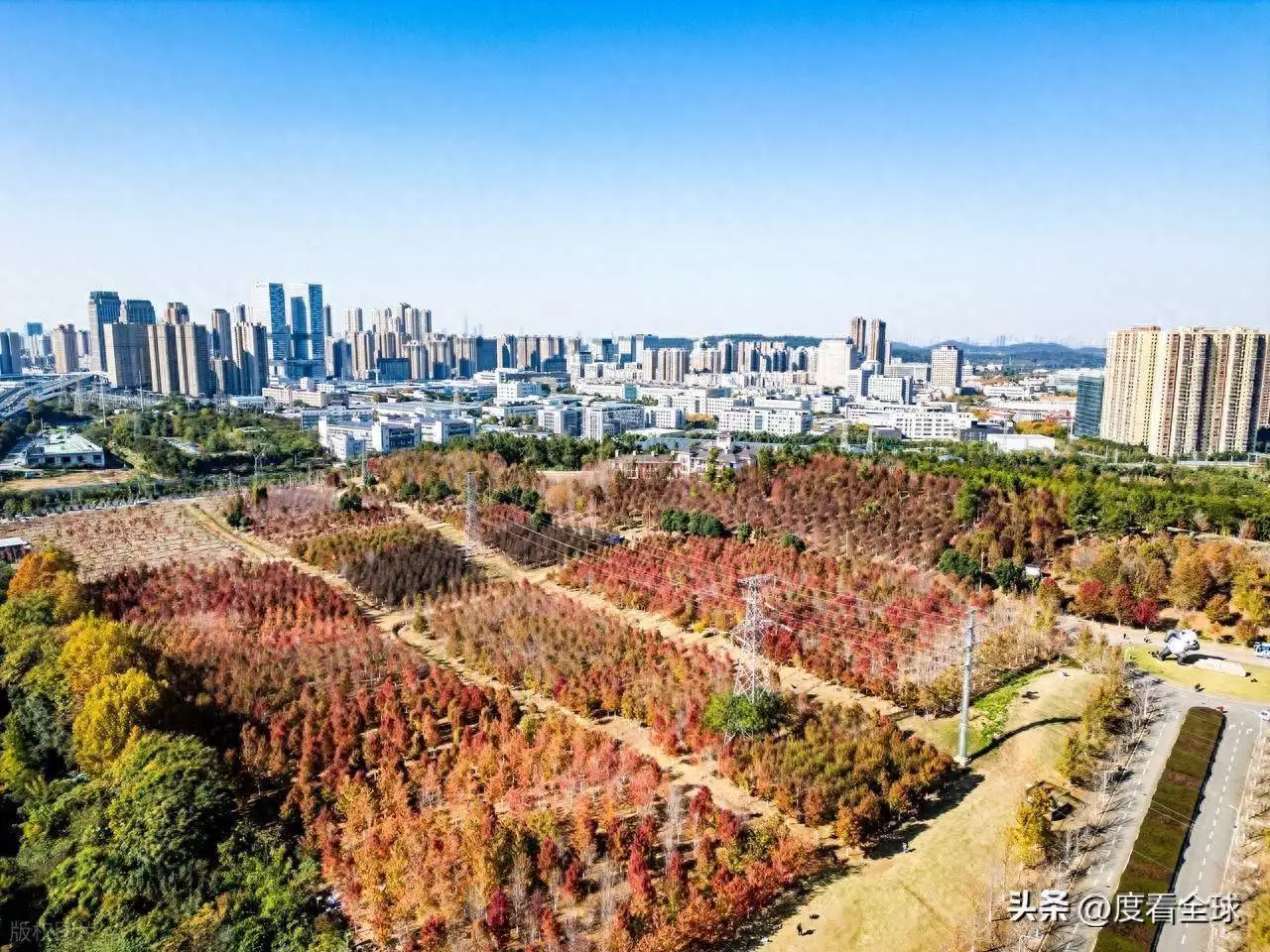 华中科技大学文华学院红枫节_华中科技大学文化学院_文华学院红枫种植历史