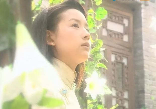 金粉世家八妹_李大为导演 金粉世家 电视剧评价