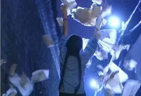 李大为导演 金粉世家 电视剧评价_金粉世家八妹