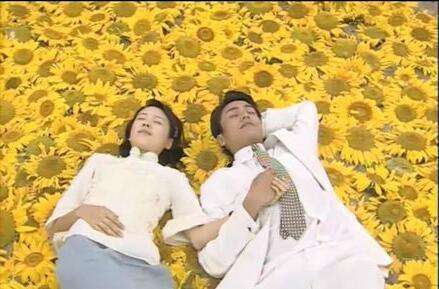 李大为导演 金粉世家 电视剧评价_金粉世家八妹