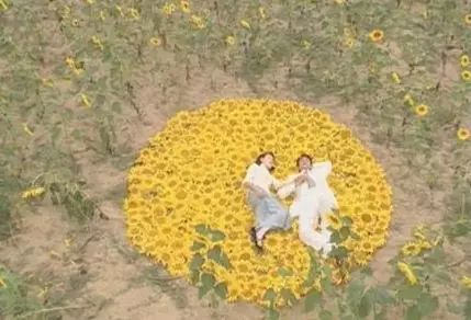 李大为导演 金粉世家 电视剧评价_金粉世家八妹