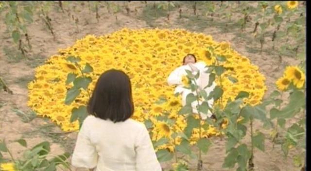 李大为导演 金粉世家 电视剧评价_金粉世家八妹