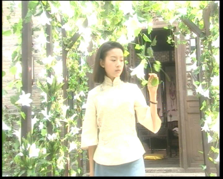 李大为导演 金粉世家 电视剧评价_金粉世家八妹