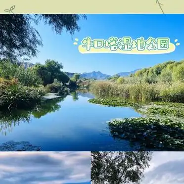 汉石桥湿地公园推荐_北京出游好去处_北京踏青好去处