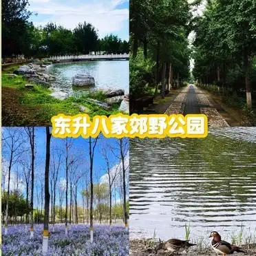 北京出游好去处_北京踏青好去处_汉石桥湿地公园推荐