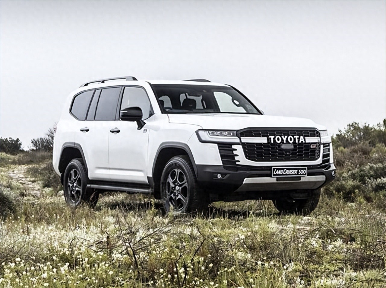 丰田世纪century图片_丰田兰德酷路泽LC300GR_兰德酷路泽LC300GR评测