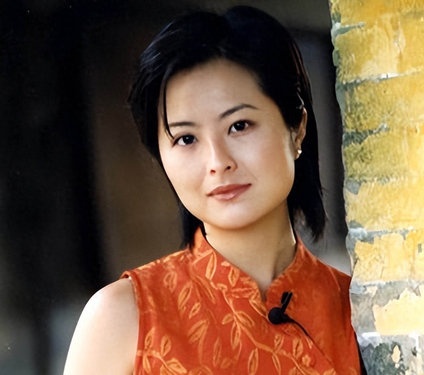 张泉灵主持生涯发展历程_张泉灵北大毕业典礼演讲_张泉灵央视辞职转型创投圈