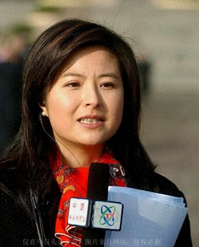 张泉灵 事业与家庭平衡 的人生故事_张泉灵 央视前主持人 传奇经历_张泉灵北大毕业典礼演讲