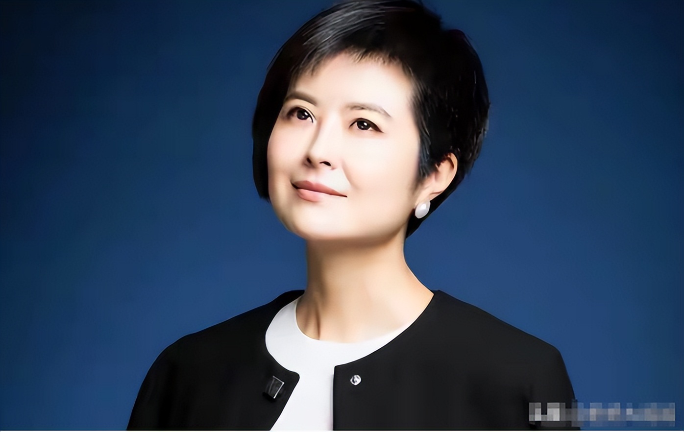 张泉灵 传记_张泉灵 复出主持_张泉灵北大毕业典礼演讲