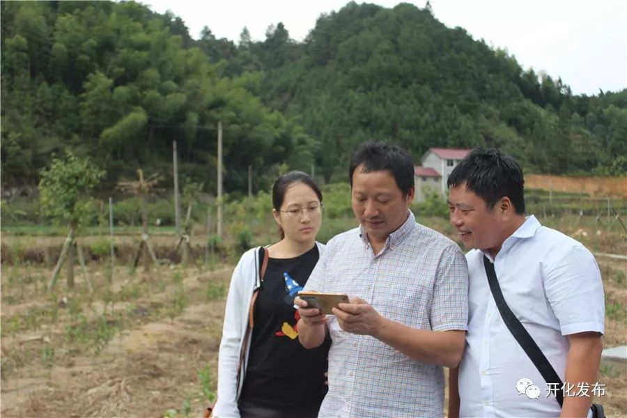 开化龙顶名茶之乡发展现状_开化县农业特色优势产业_对生态农业发展模式的探析—以浙江省开化县为例