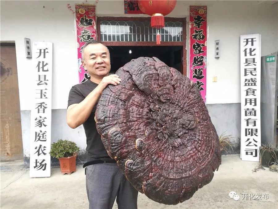 开化县农业特色优势产业_对生态农业发展模式的探析—以浙江省开化县为例_开化龙顶名茶之乡发展现状