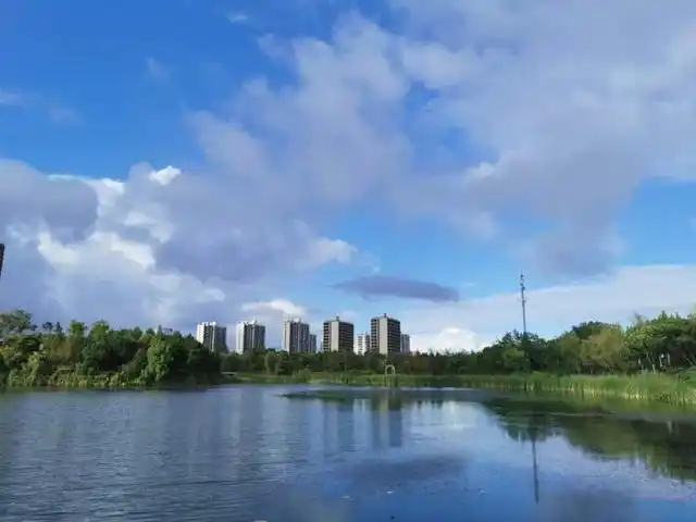 大白荡生态公园_上海白沙公园_宝山白沙公园