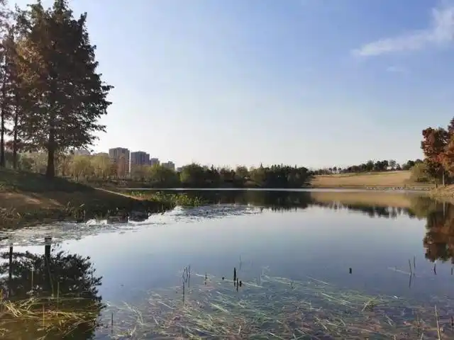 宝山白沙公园_上海白沙公园_大白荡生态公园