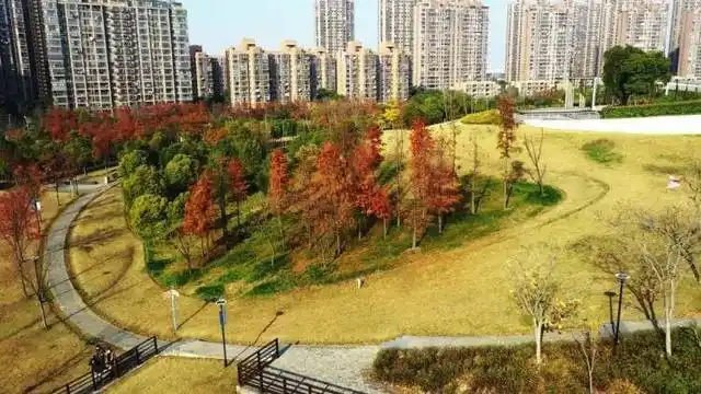 大白荡生态公园_上海白沙公园_宝山白沙公园