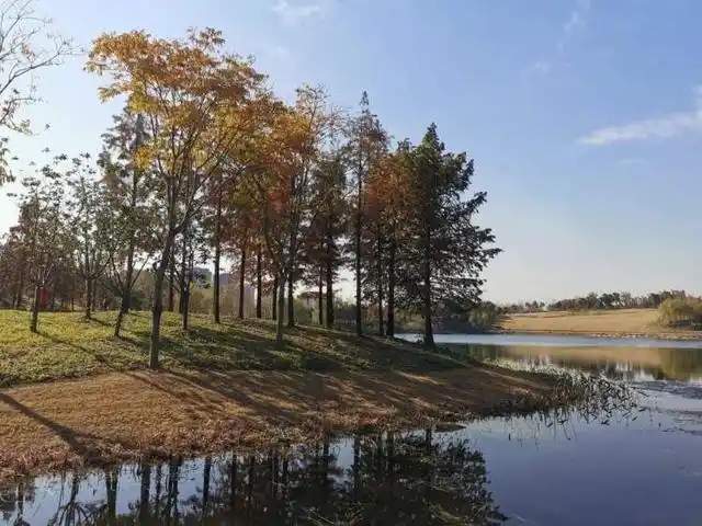 上海白沙公园_大白荡生态公园_宝山白沙公园