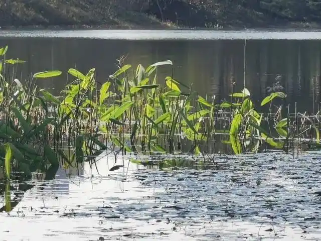 宝山白沙公园_大白荡生态公园_上海白沙公园